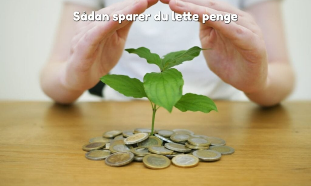 Sådan sparer du lette penge